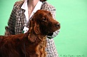 Crufts2011 208